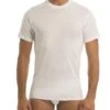 Maglia Uomo Garda Art.042 2 Maglia Uomo Garda Art.042 -Intimo Outlet Negozio cattura.jpg042