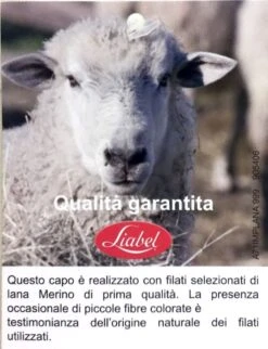 Maglia Uomo Girocollo Lanacotone Liabel 5321 23 5 Maglia Uomo Girocollo Lanacotone Liabel 5321 23 -Intimo Outlet Negozio photo 2018 06 01 15 28 57